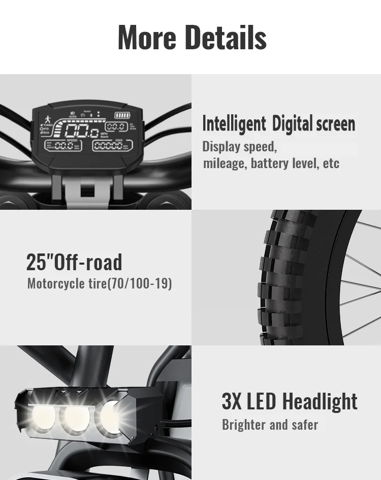 GT73 Electric Bike for Adults, 2000W UL 2849 Electric Dirtbike with 25